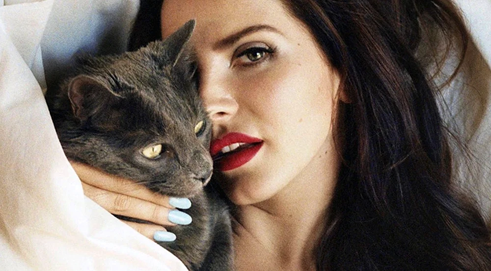 Lana Katze Lana Foto