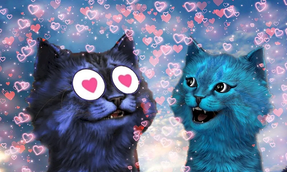 Кошка Лана и Йоши
