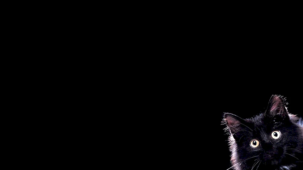 Marly Brinks auf dunklem Hintergrund