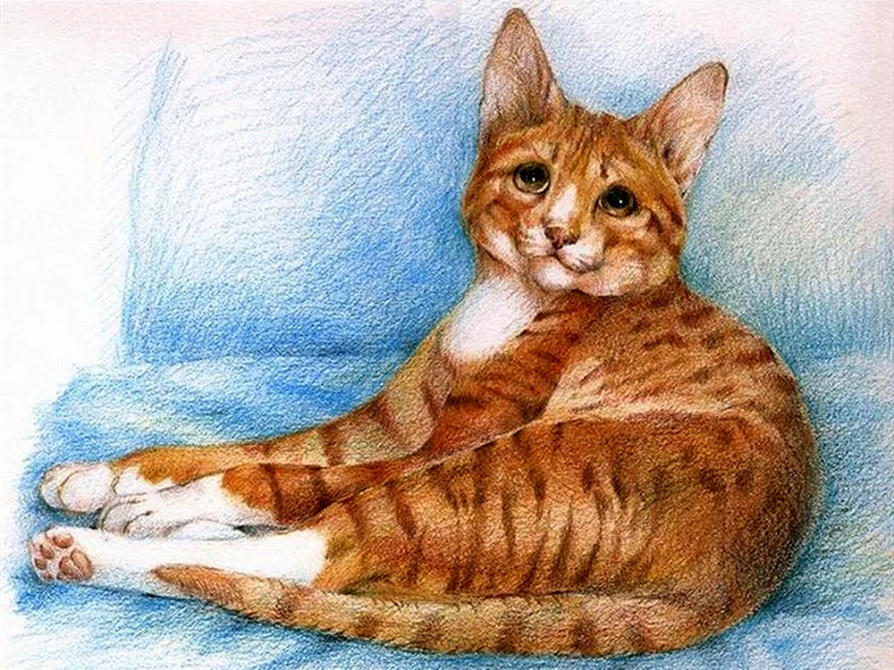 Katzenzeichnung