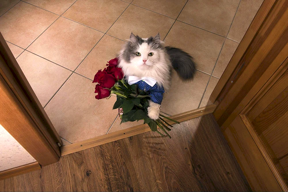 Katze mit Blumen