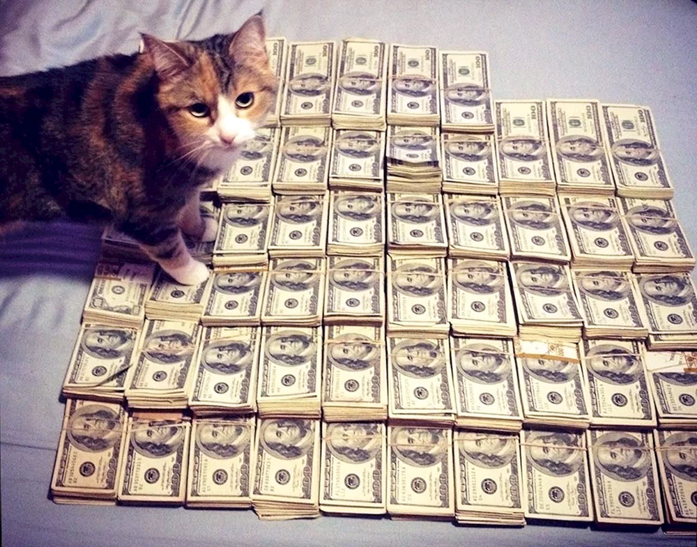 Geldkatze.