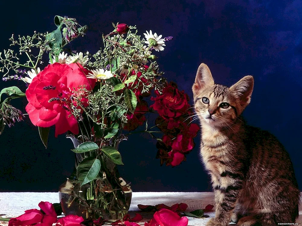 Katze mit Blumen