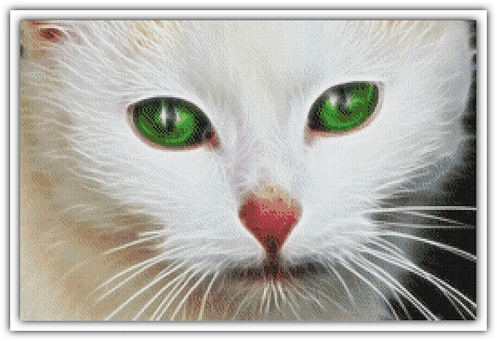 Katzenrasse albino- Mani-Katze