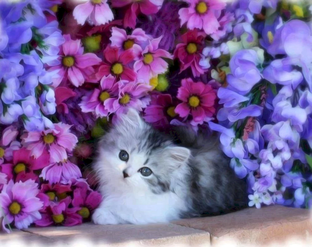 Katze mit Blumen