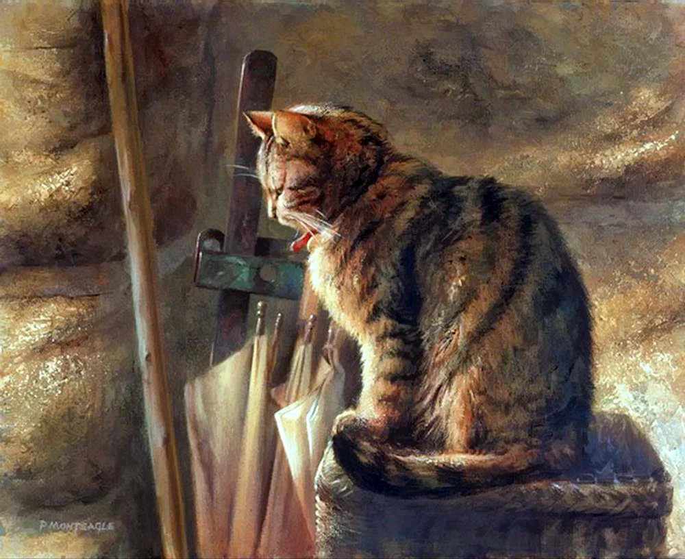 Katzen von Paul Monteagle