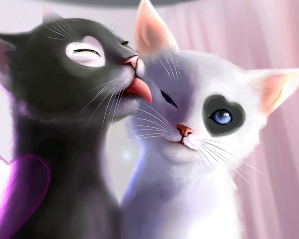 Katze mit Herzen