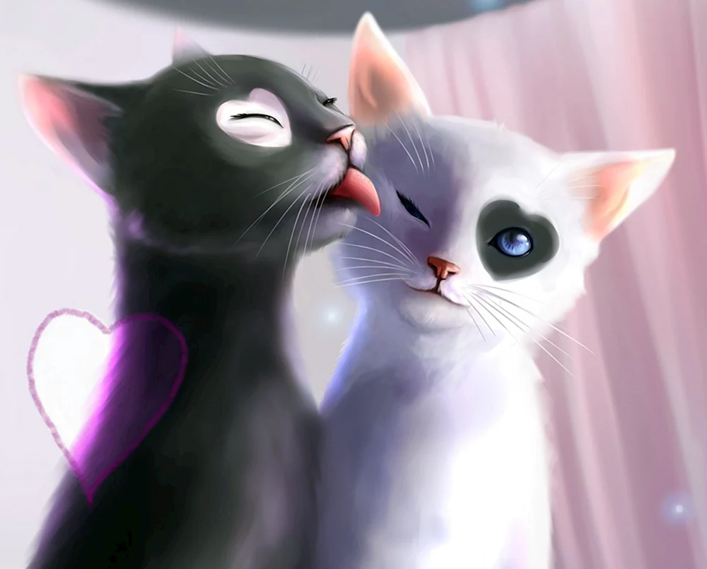 Katze mit Herzen