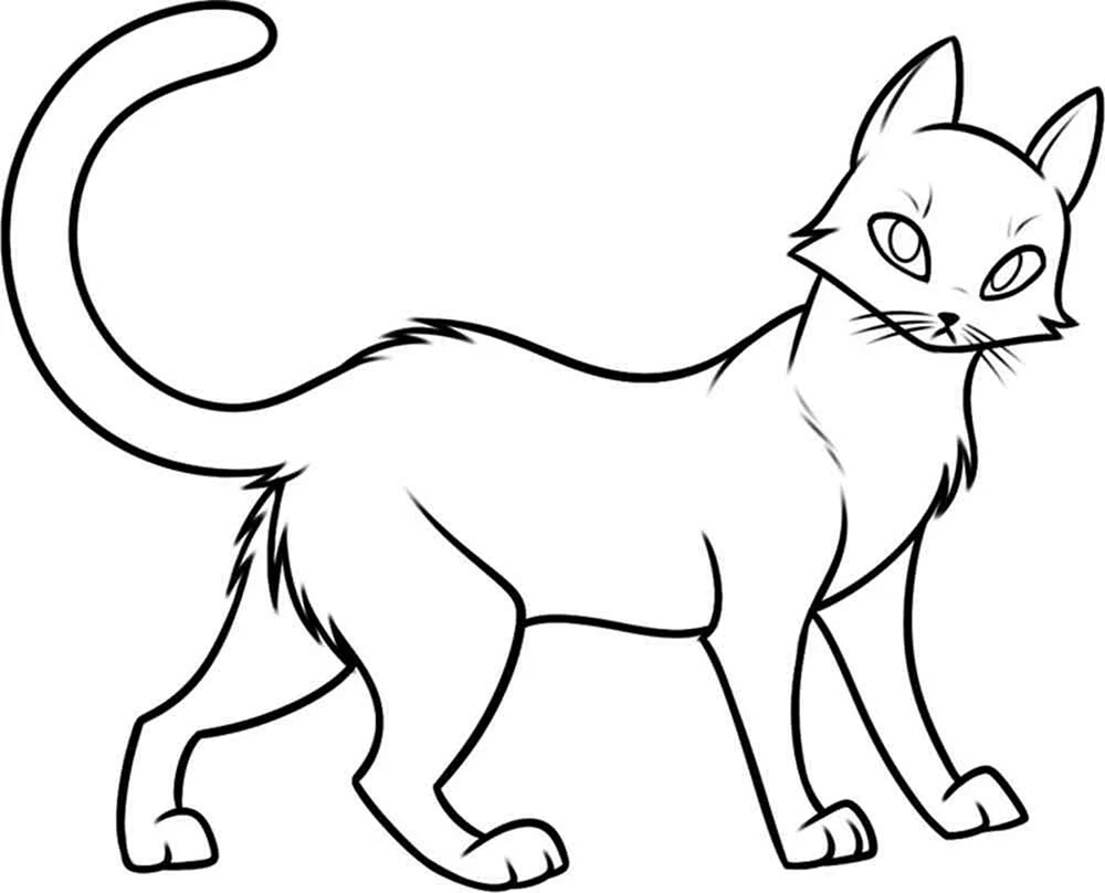 Katzen. Ausmalen