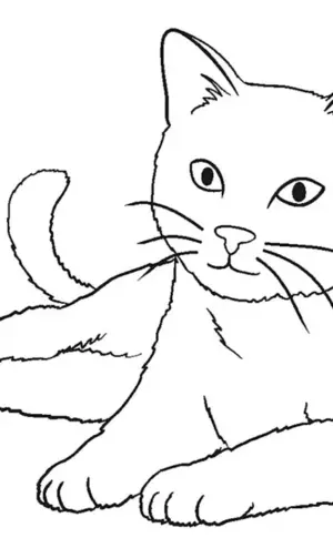 Katzen. Färbung