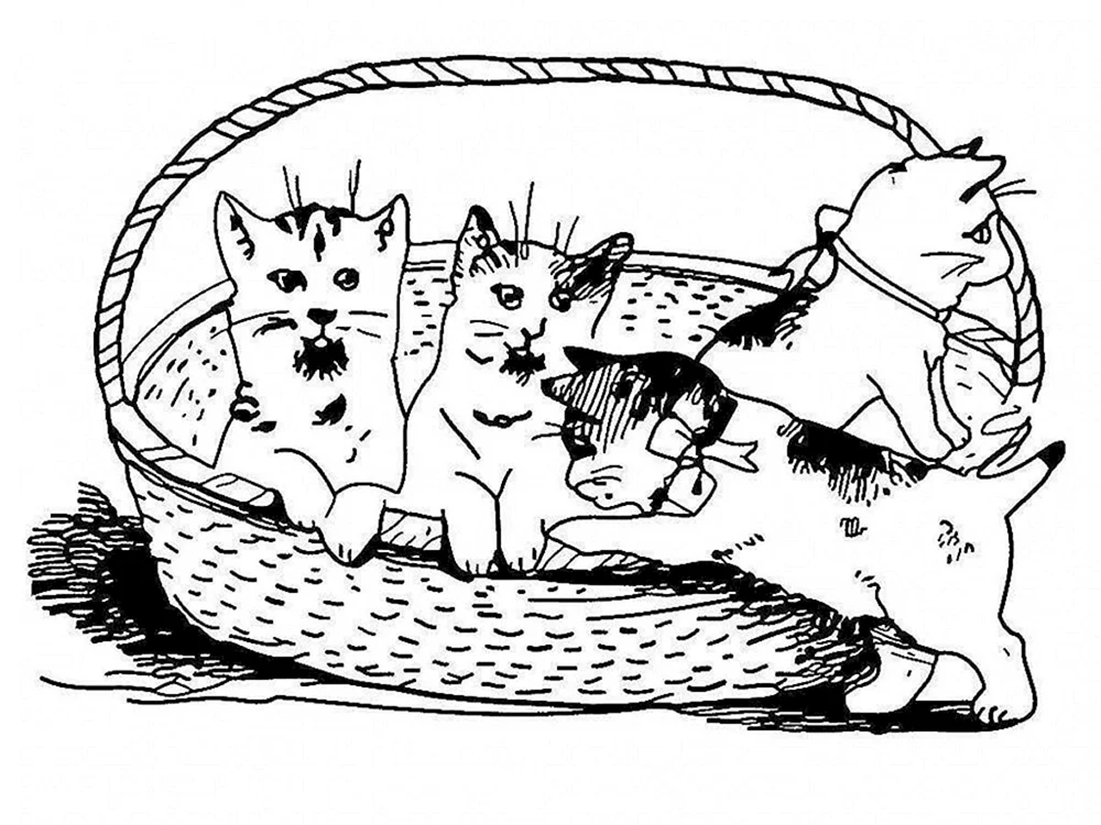 Katzen. Färben Katzen. Färbung