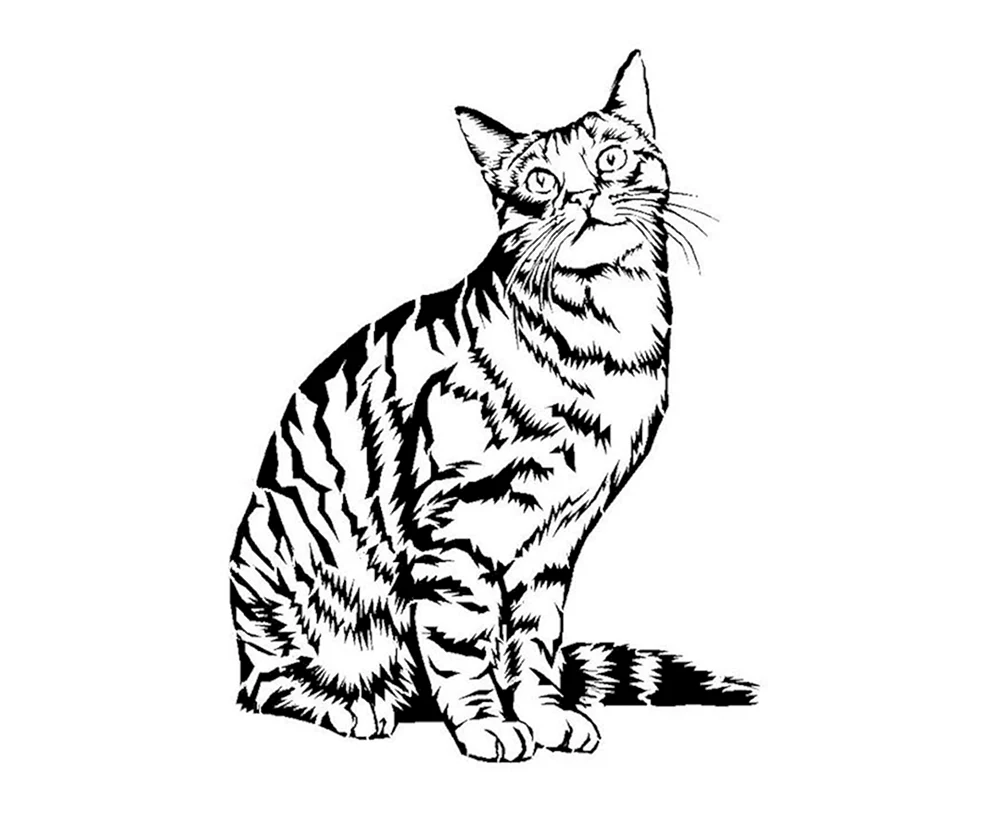 Katzen. Ausmalen