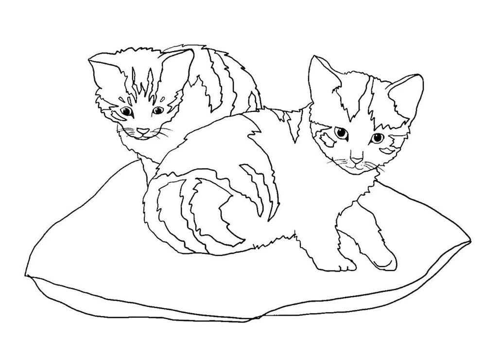 Katzen. Ausmalen
