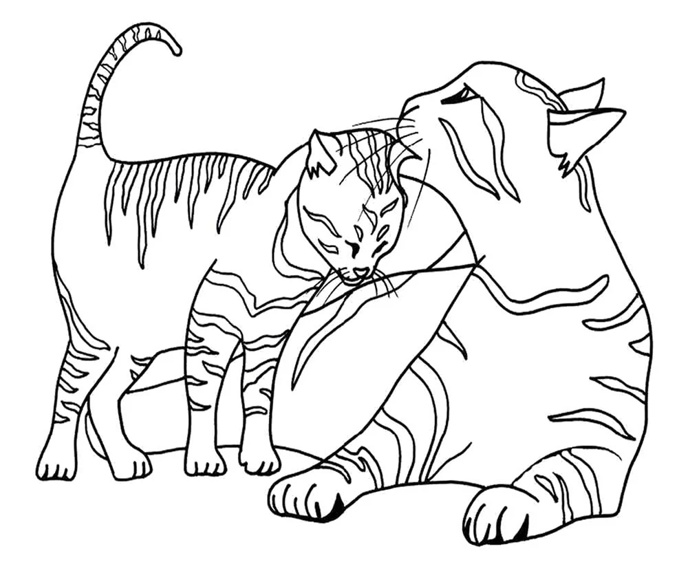 Katzen. Färbung