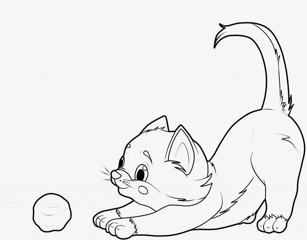 Katzen. Ausmalen