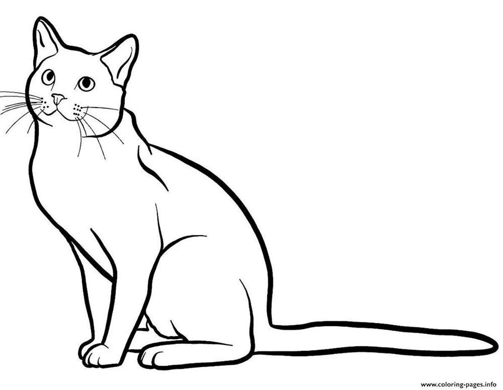 Katzen. Ausmalen