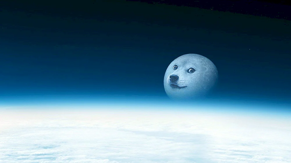 Kosmischer Hund