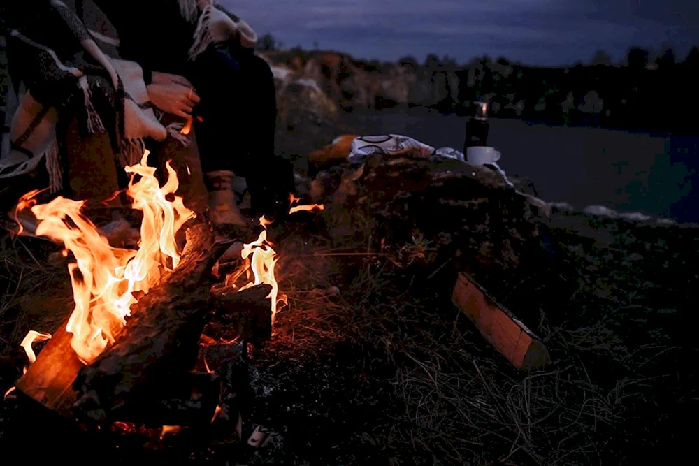 Feuer im Winterwald