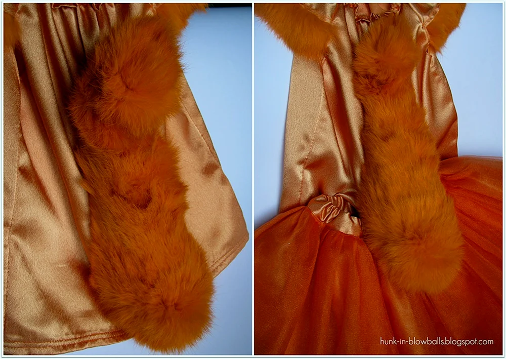 Eichhörnchen Tüllschwanz