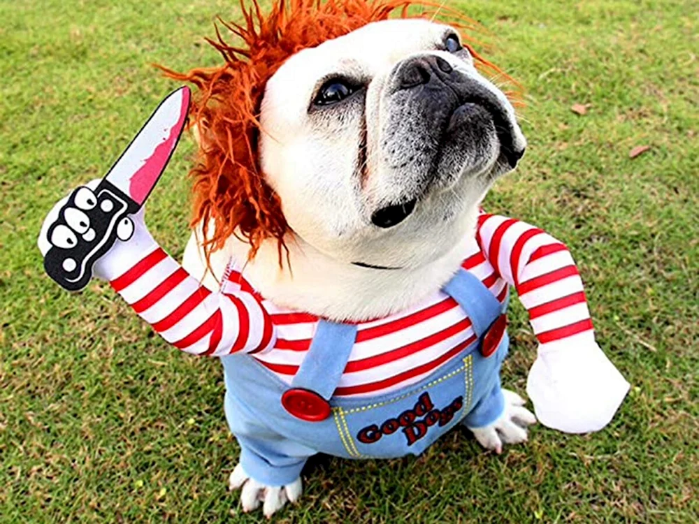 Chucky Hundekostüm