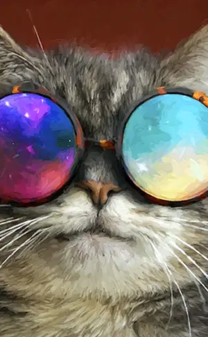 Katze