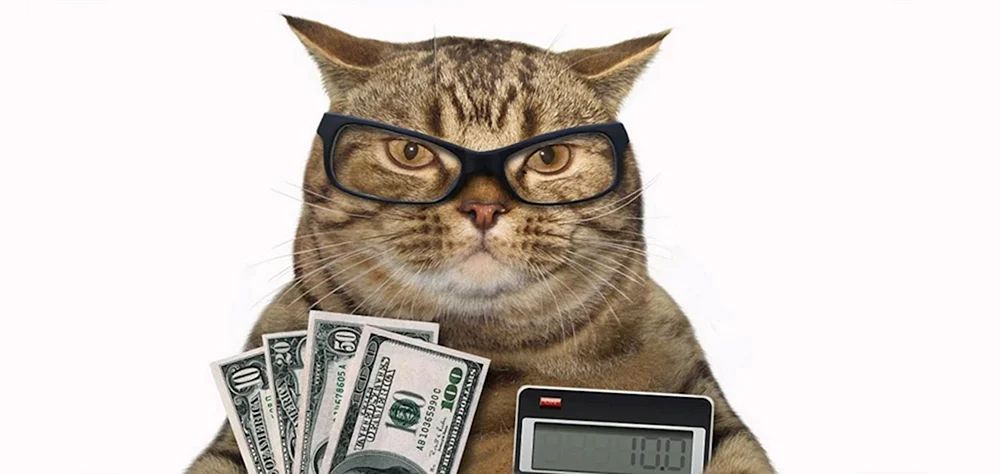 Reiche Katze
