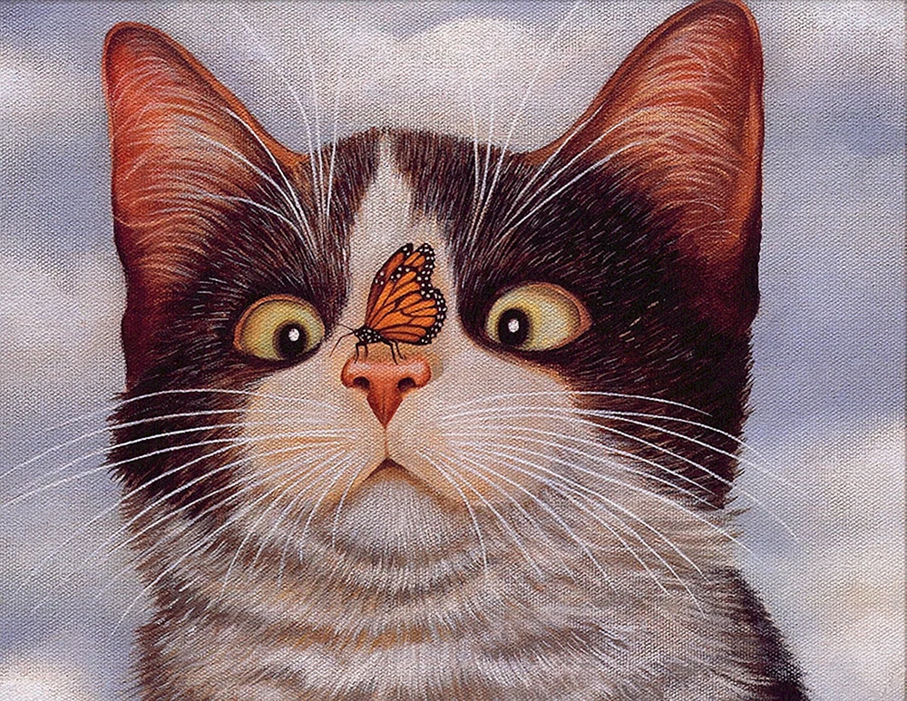 Katzenbild