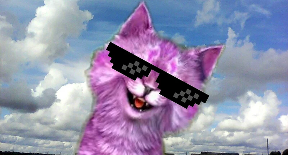 Кошка Лана и Лео