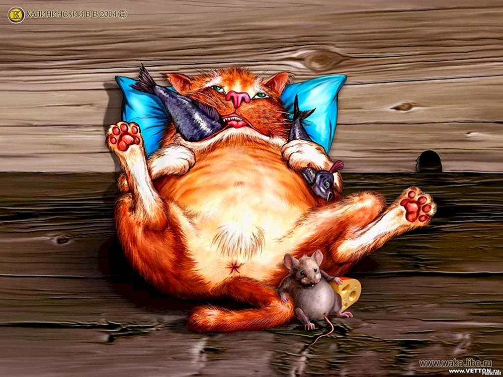 Katze ist voll