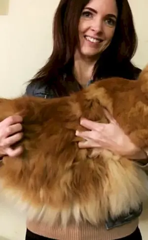 Omar der Maine Coon Kater
