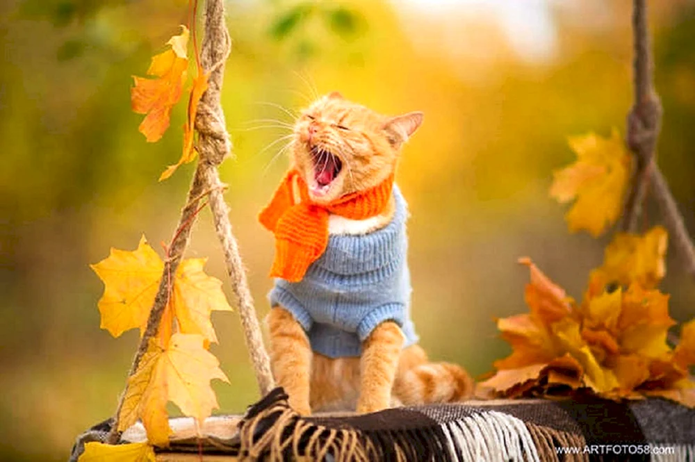 Herbststimmung