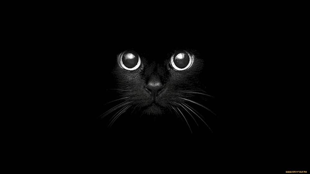Schwarze Tapete