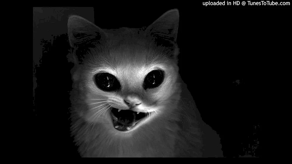 Cheshire American MACGEE