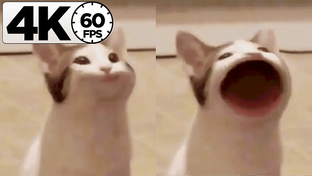 K mit offenem Mund Meme