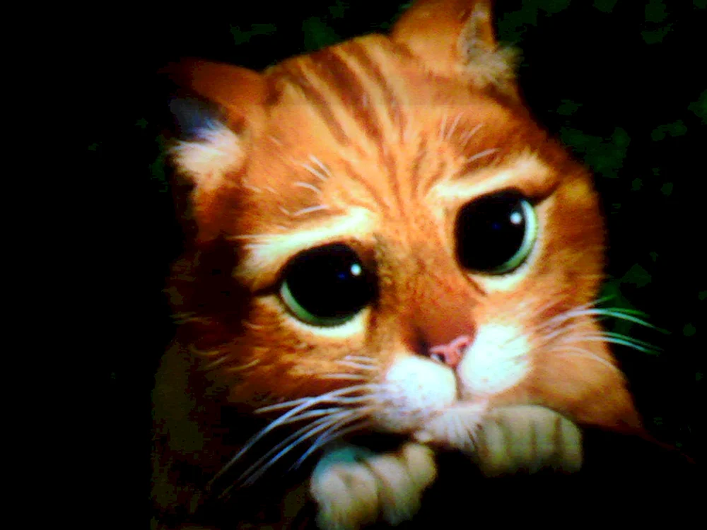 Stiefelkater Shrek 2