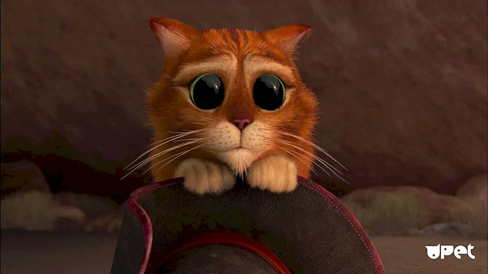 Stiefelkater Shrek Augen