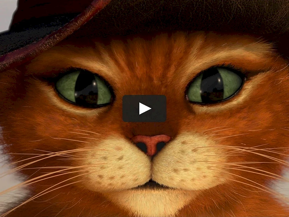 Shrek der gestiefelte Kater Shrek der gestiefelte Kater süße Augen
