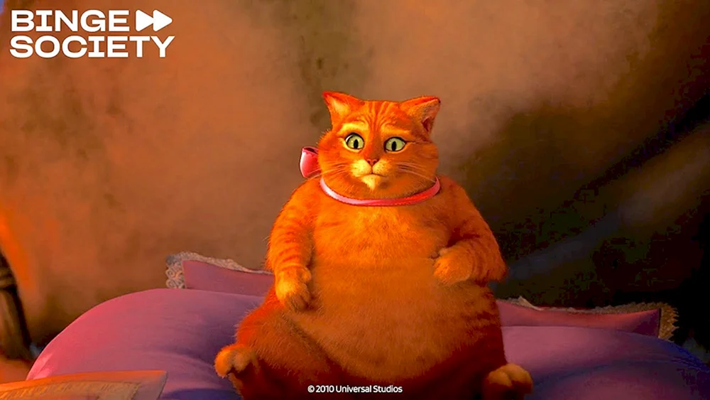 Sorry Augen von Shrek der gestiefelte Kater aus Shrek