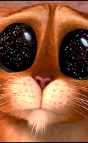 Gestiefelter Kater drei Teufel