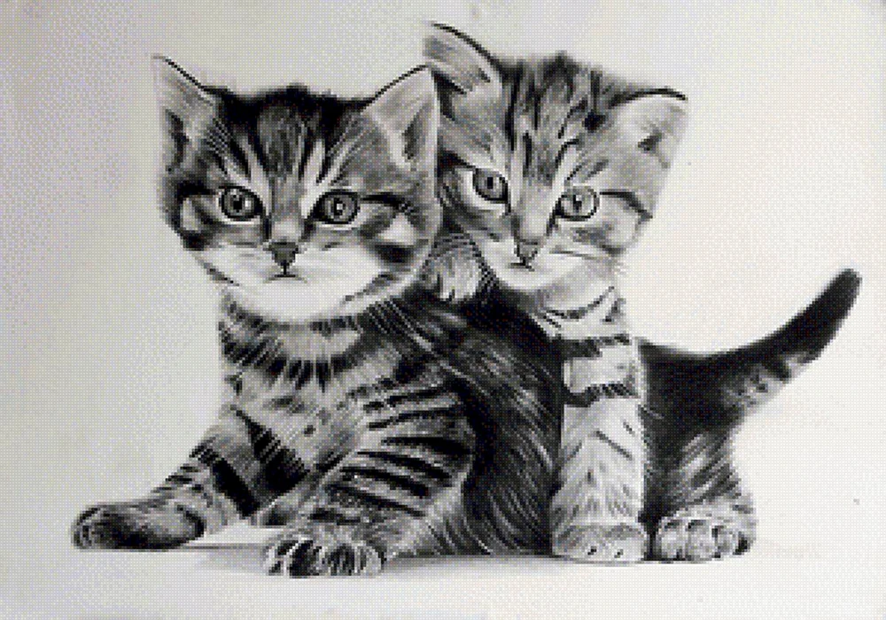 Katzenzeichnung