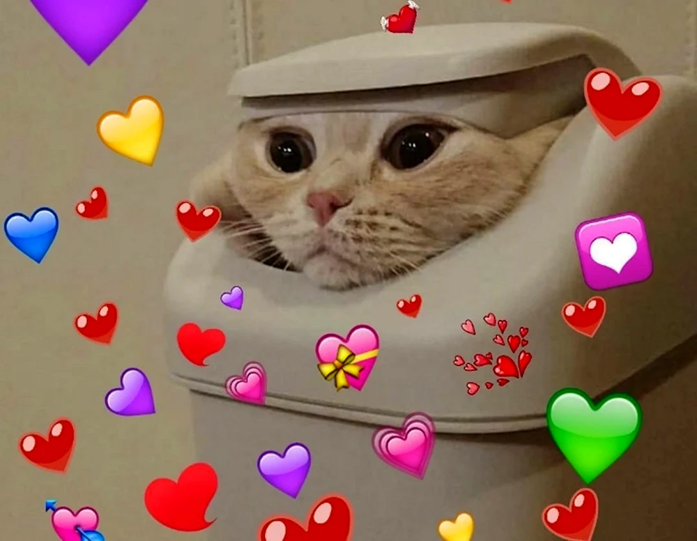 Katze mit Herz