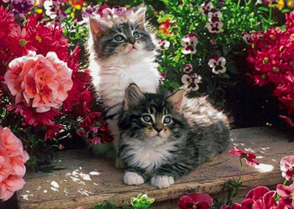 Katze mit Blumen