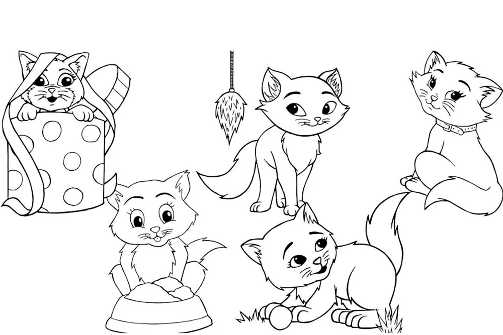 Katzen. Ausmalen