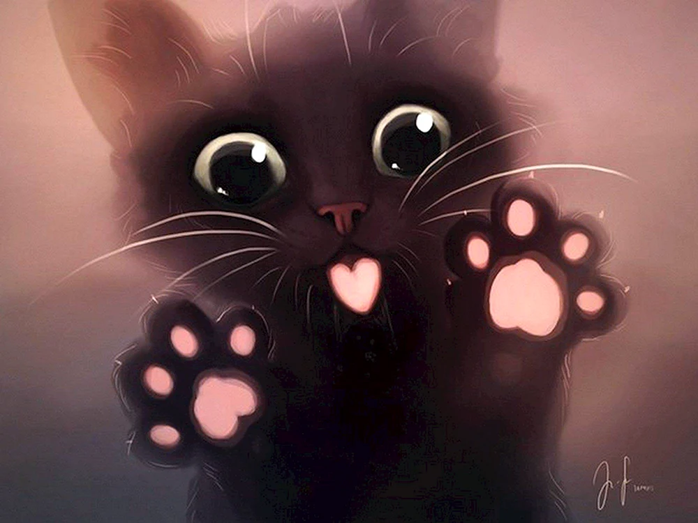 Nodskis Katze