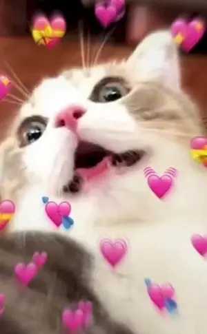 Katze mit Herz