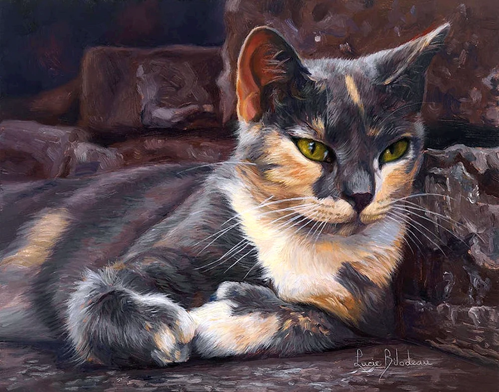 Katzen von Lucie Bilodeau