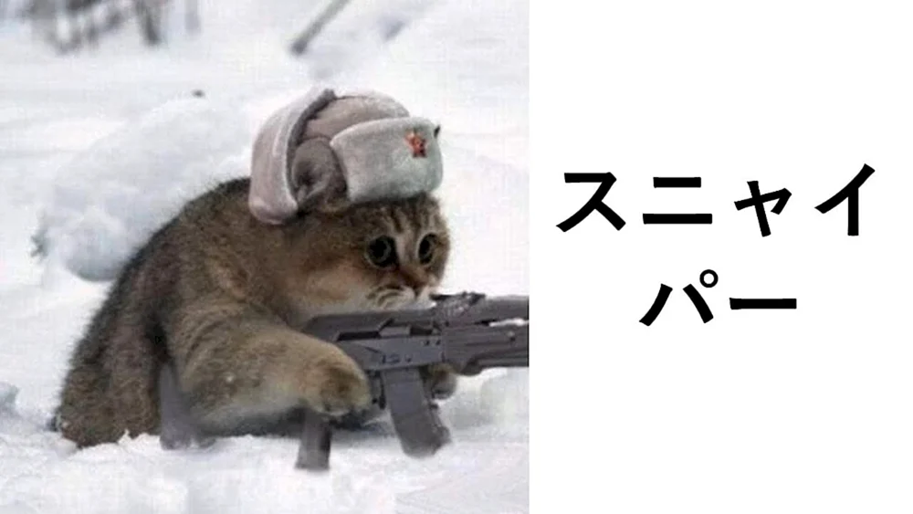 Katze im Hut im Hut