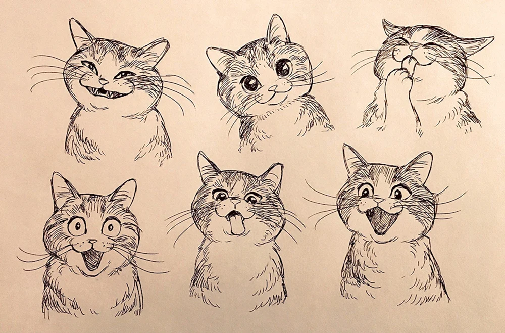 Katzen-Skizzen