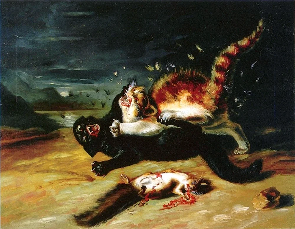 Katzen kämpfende