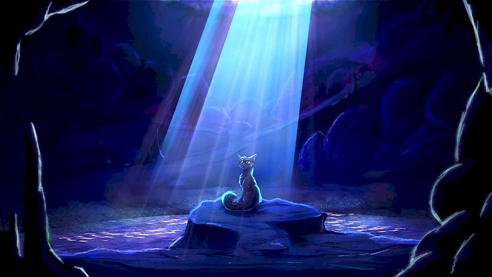 Kriegerkatzen Warrior Cats Warrior Cats Star Tribe und Dusky Forest